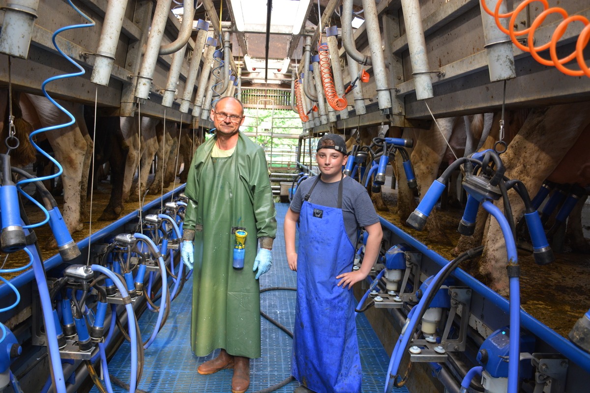 Deux hommes dans une salle de traite - Illustration La salle de traite fait son come-back