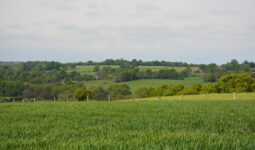 Un paysage de bocage