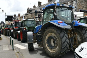 File de tracteurs dans la rue