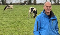 Un homme souriant devant trois vaches Holstein au pâturage
