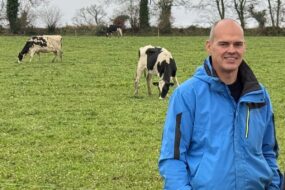 Un homme souriant devant trois vaches Holstein au pâturage