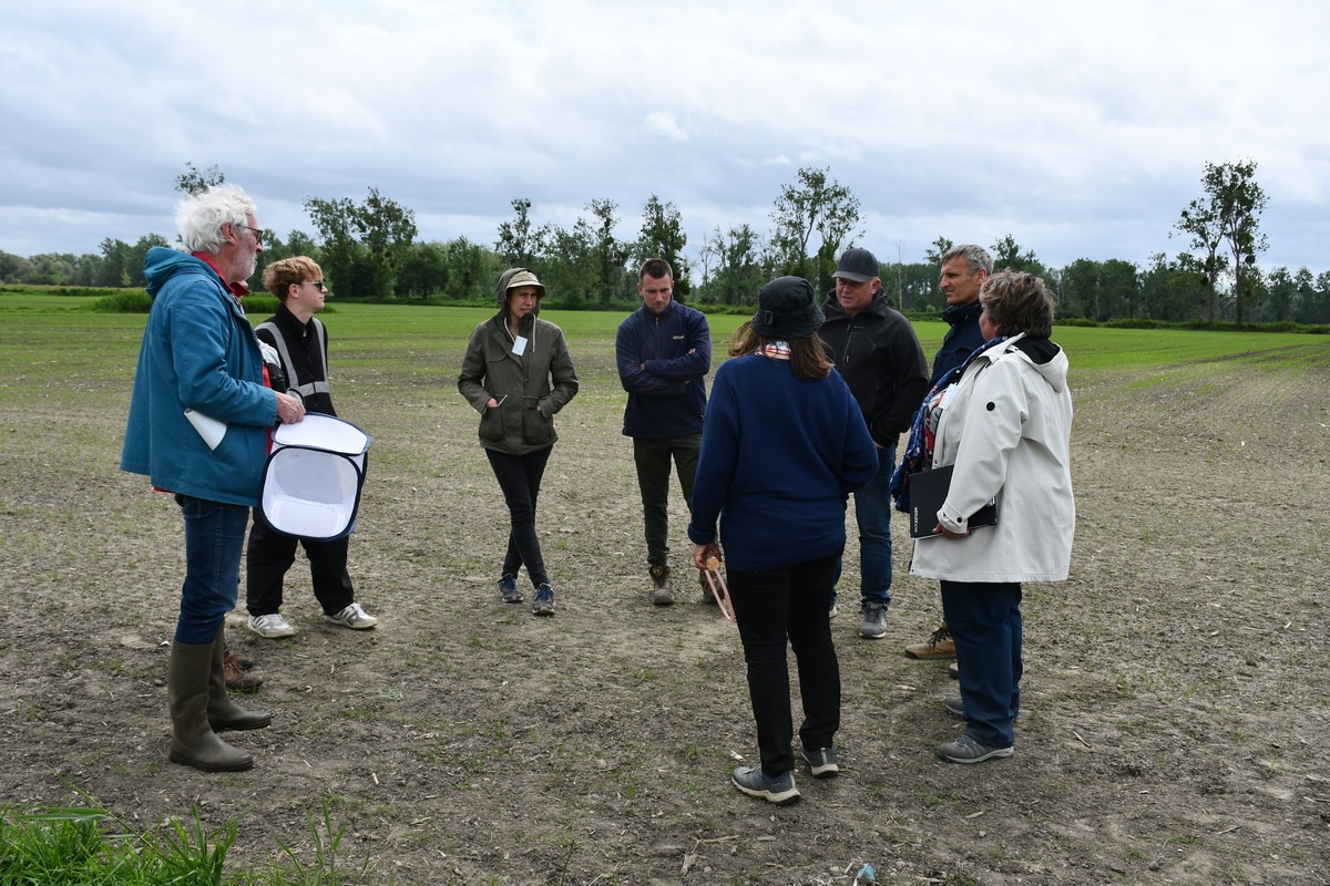 Un groupe sur une parcelle agricole du marais noir de Dol - Illustration Dans le marais,  la biodiversité est active