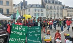 Manifestants dans la rue