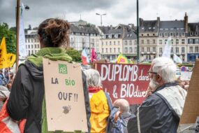 Des manifestants dans la rue