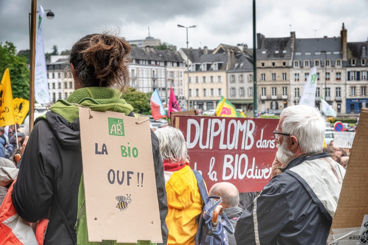 Des manifestants dans la rue - Illustration Une mobilisation  pour soutenir la filière