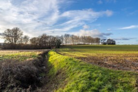Un paysage de bocage avec un fossé en premier plan