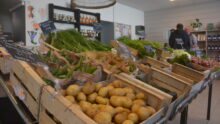 Des cageots de légumes dans un magasin
