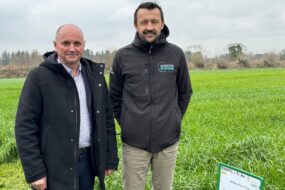 Deux hommes dans une prairie