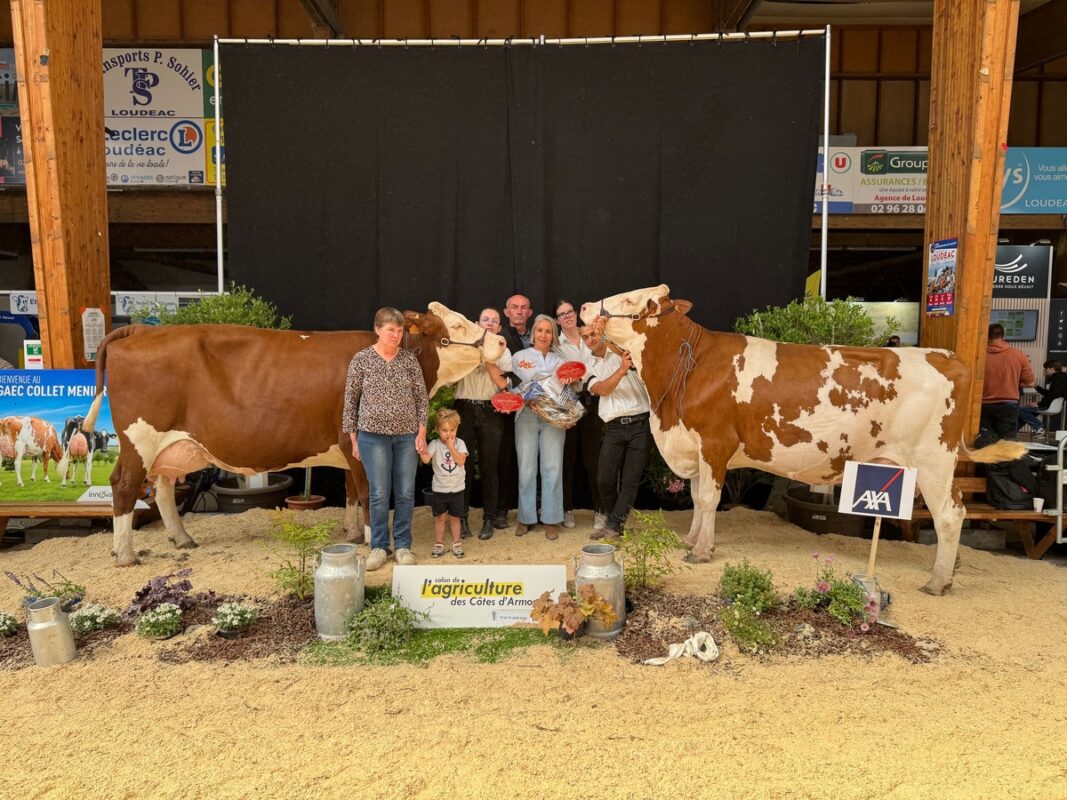 Cat Nevada, Championne de la catégorie Adulte, et sa Réserve Rolls, deux vaches appartenant au Gaec du Bois Mogaly à Saint-Maudan (22) 
