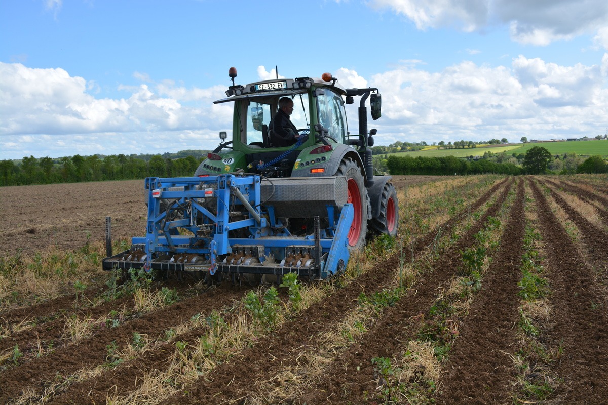Un tracteur dans un champ - Illustration Le Ceta 35 lauréat sur une action &lsquo;climat&rsquo;