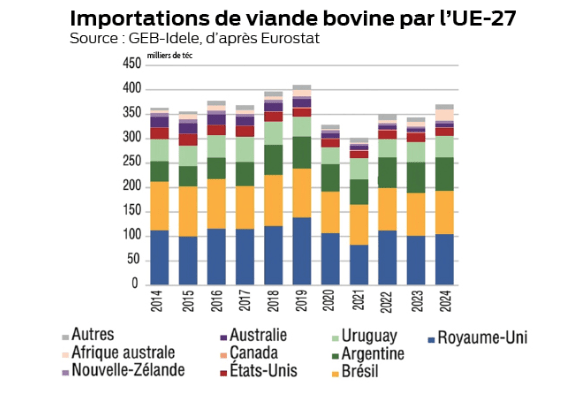 Graphique des importations de viande bovine par l'UE-27 - Illustration Moins 2,5 % d’effectifs sur 2024 : Recul du cheptel