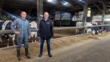 2 hommes dans uns stabulation avec des vaches en arrière plan