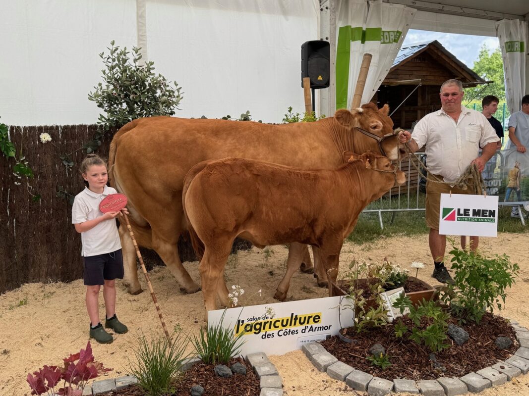 Rose, au Gaec Rolland à Lannion (22), sacrée championne des femelles adultes 