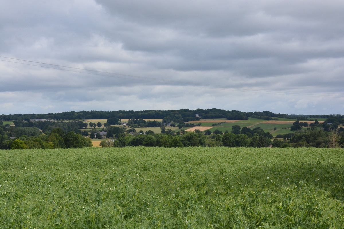 Un paysage de bocage - Illustration Foncier  : Les JA mettent sur pause l’ambition d’une vaste réforme