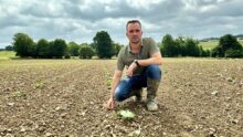 Un homme accroupi au milieu d'une parcelle de courges tout juste plantées