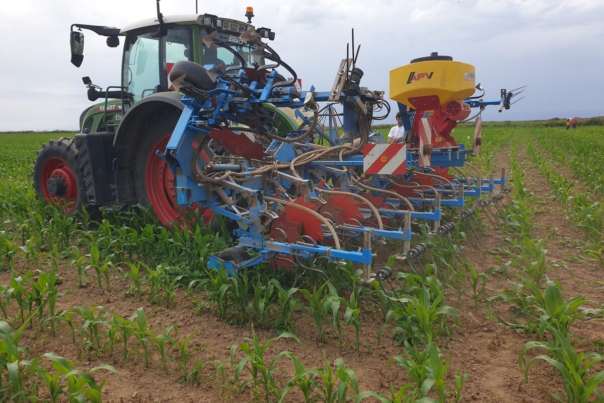 Un tracteur au champ lors d'une opération de désherbage de maïs - Illustration Concilier désherbage et qualité de l&rsquo;eau