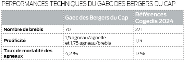 tableau des performances techniques d'un élevage de moutons
