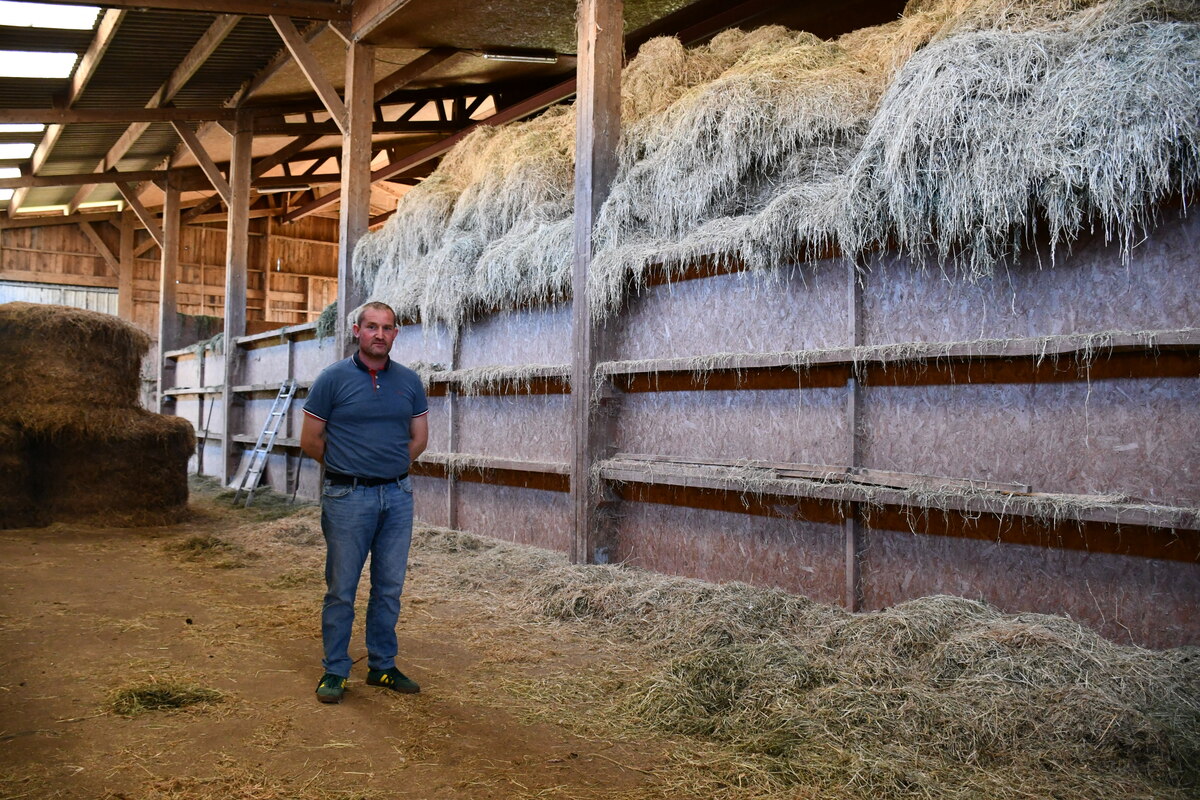 un éleveur dans son séchoir en grange - Illustration Le ‘lait de foin’, idéal pour la transformation