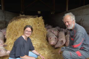 Une femme et un homme avec des cochons sur de la paille