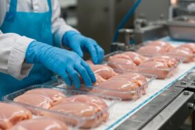 Gros plan sur une chaine de production de blanc de poulet