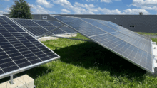 des panneaux photovoltaïque posés au sol dans un champ