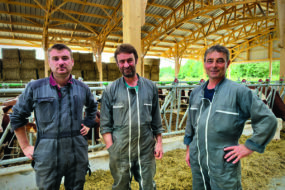 Trois homme ans un bâtiment d'élevage bovin