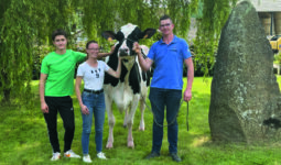 Deux hommes et une femme avec une vache de race Holstein