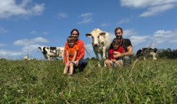 Un couple et 2 enfants assis dans un champ avec des vaches autour