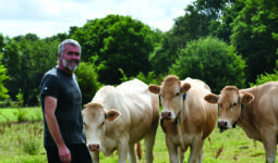 Un éleveur avec des vaches