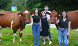 Des personnes avec des vaches