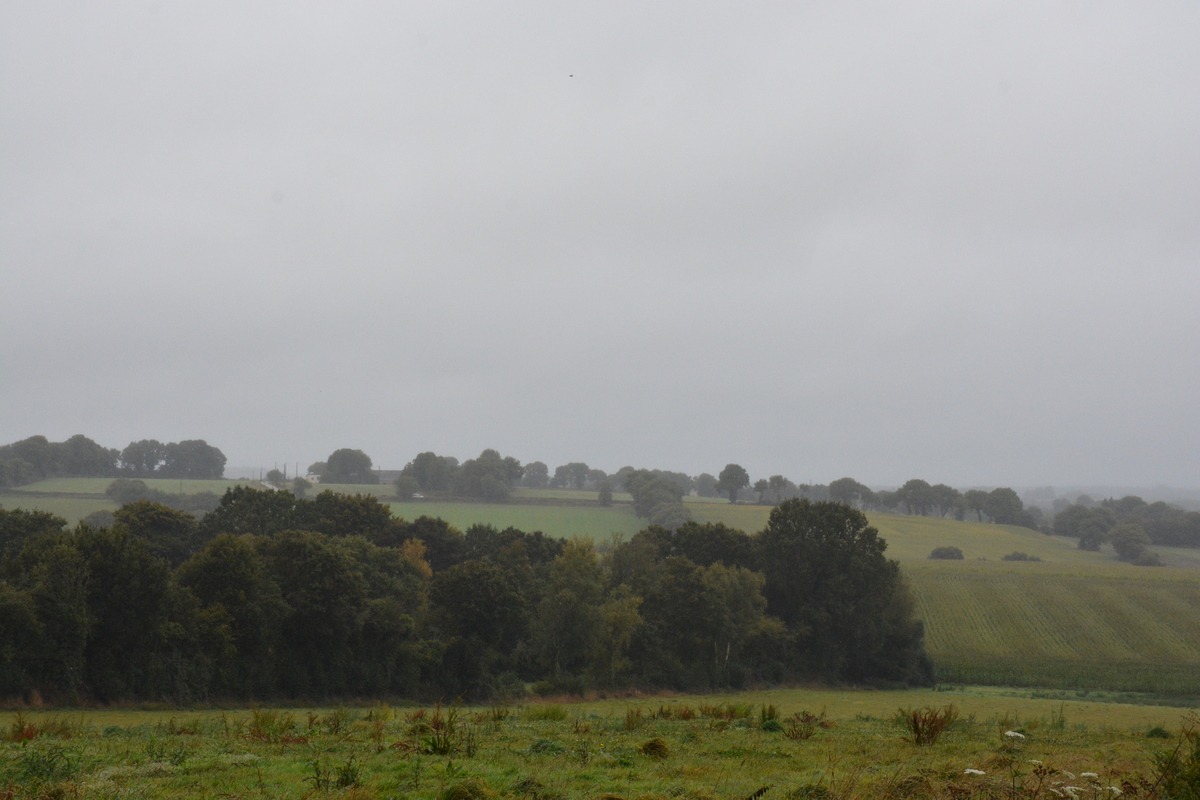 paysage breton dans la brume - Illustration +0,42 % pour l&rsquo;indice  national de fermage