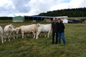 des éleveurs avec des vaches charolaises devant des bâtiments