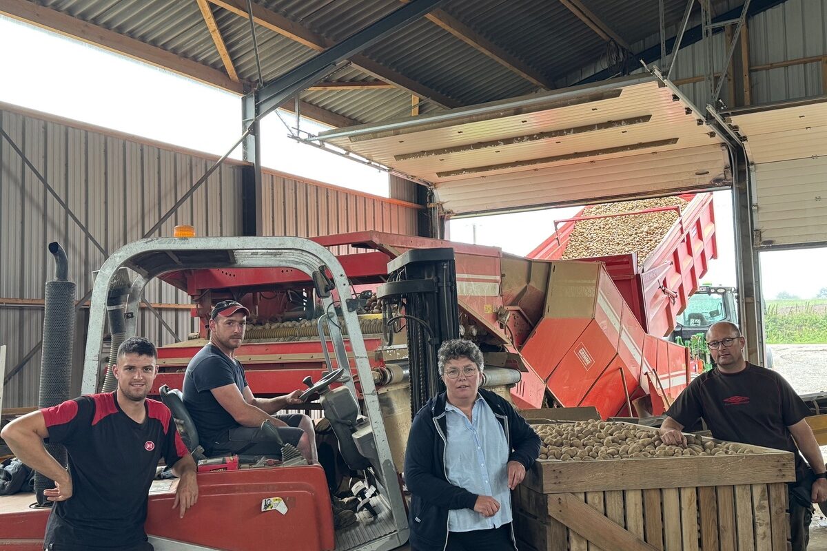 Trois hommes et une femme sous un hangar de réception et de tri de pommes de terre.s - Illustration Partager son savoir-faire en culture de pommes de terre