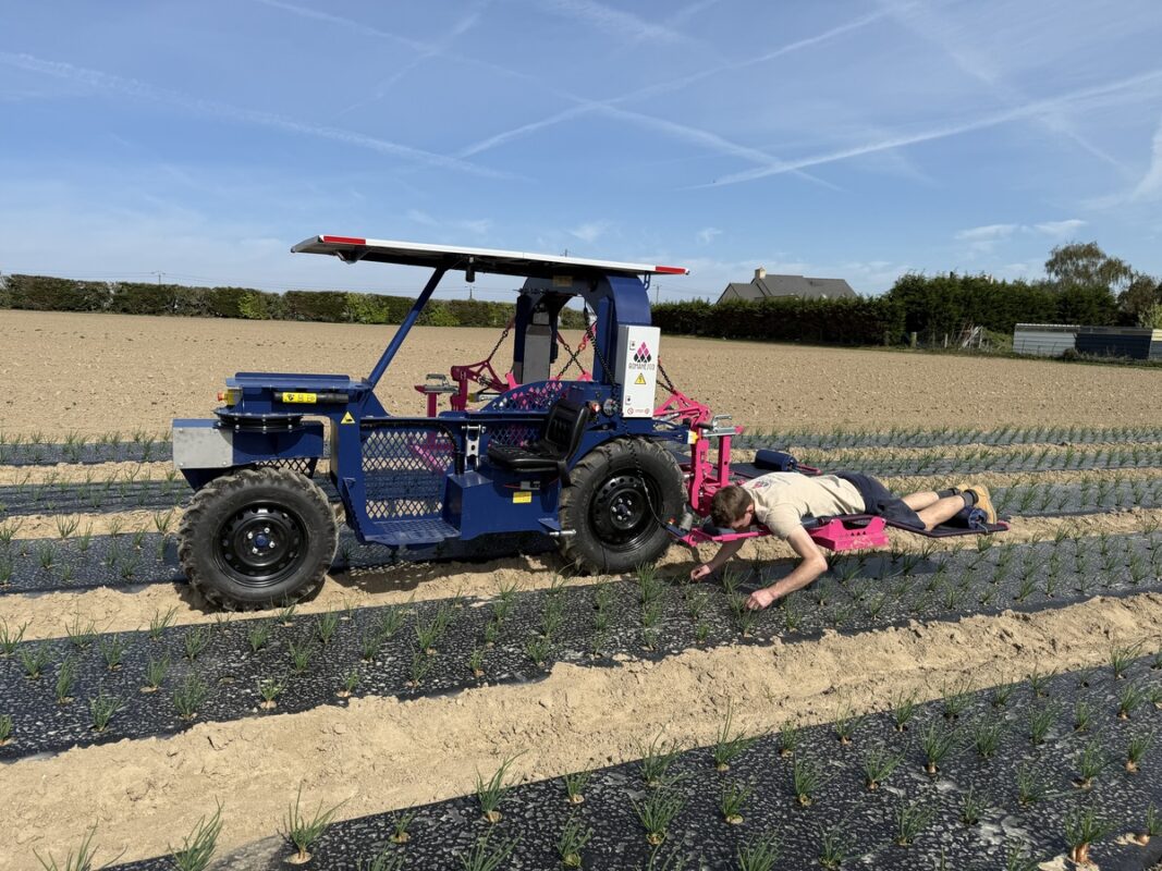 Conçu en collaboration avec maraîchers pour répondre à leurs besoins spécifiques, l’enjambeur Romanesco offre une alternative écologique et efficace pour les travaux manuels et mécaniques. Une innovation déjà distinguée par le salon des productions végétales Sival, le concours Etonnants Créateurs et le pôle de compétitivité Vegepolys Valley.