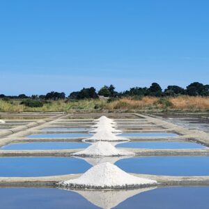 Saline