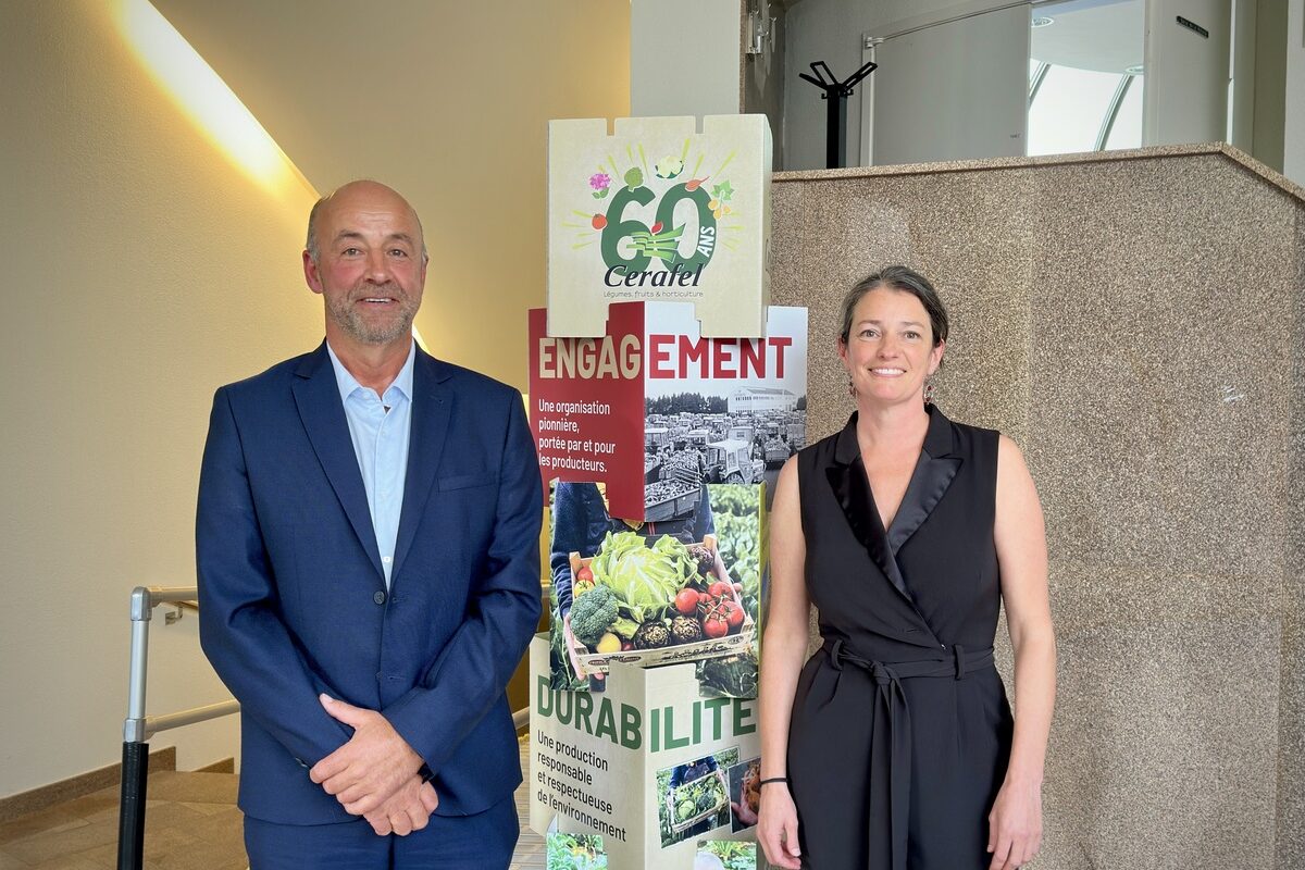 Marc Kerangueven et Maïwenn Le Pierrès - Illustration Organisations de producteurs : Le collectif au service de la résilience