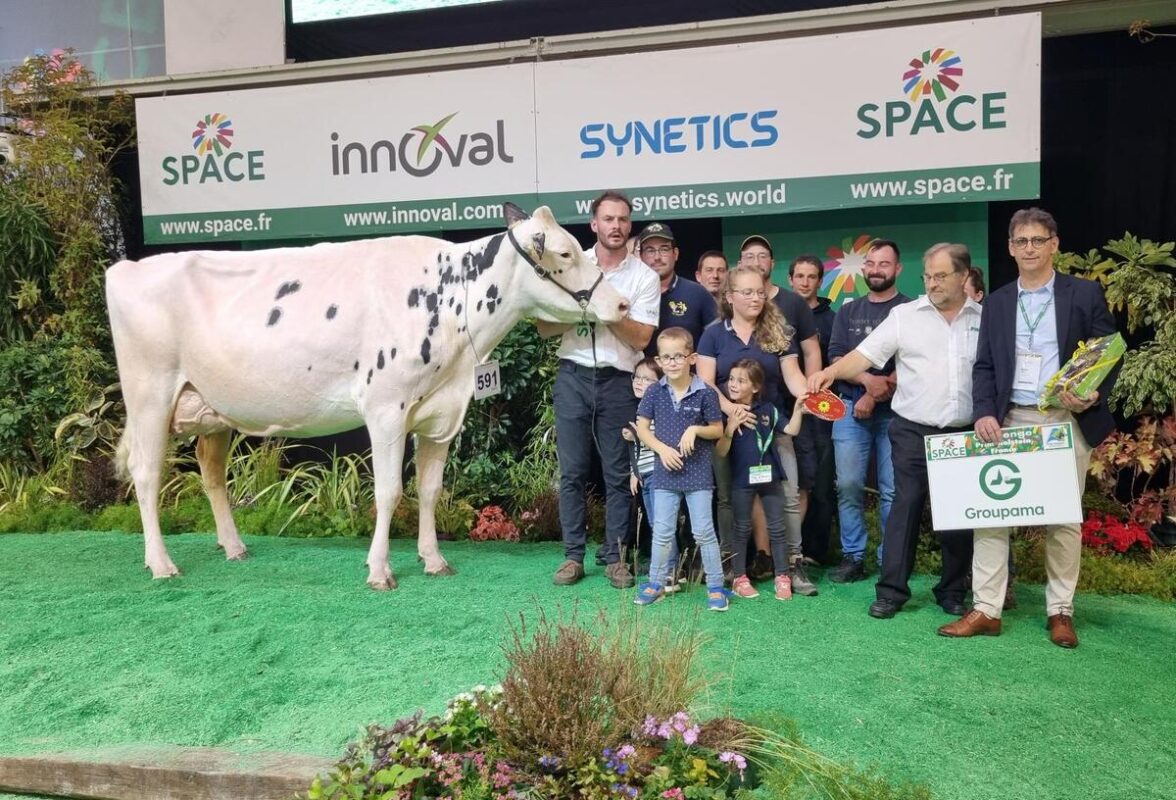 Jérôme Moy, président de Groupama Loire Bretagne a remis le prix de la 2e lactation Prim’Holstein à Steppe du Gaec Holgelim.