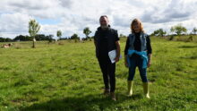 des éleveurs dans une parcelle en agroforesterie