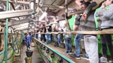 des gens et un éleveur dans un salle de traite