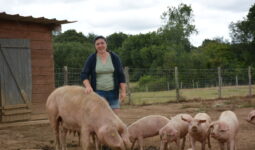 Une femme dans un enclos avec une truie et ses porcelets