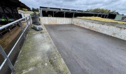 Aperçu d'un silo de maïs vide avec murs en blocs de bétons préfabriqués et sol couvert d'enrobé