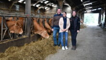 deux femmes et un homme dans une stabulation avec des vaches au cornadis