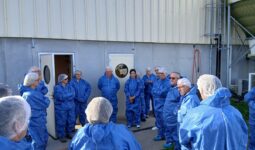 Des personnes en visite d'une exploitation porcine