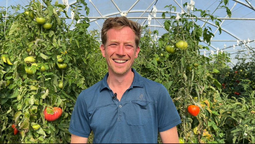 maraîcher devant des pieds de tomates sous serre - Illustration « Les paysans doivent entretenir le paysage »