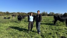Un couple devant leurs vaches en pâture