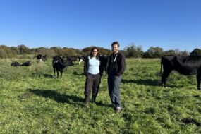 Un couple devant leurs vaches en pâture