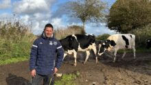 Un éleveur devant deux vaches de race Prim'Holstein.