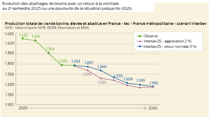 graphique de l'évolution de la production totale de viande bovine élevée et abattue en france à partir de 2020 avec projection jusqu'à 2030 - Illustration Une situation sanitaire lourde de conséquences à moyen terme