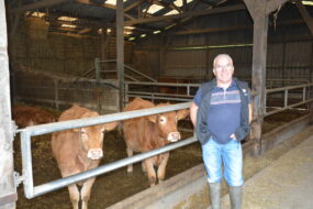 Un homme devant des vaches allaitantes dans une stabulation