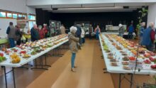 Une salle avec une exposition de pommes
